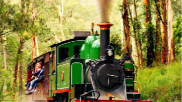 [한인가이드] 멜버른 단데농 퍼핑빌리 투어