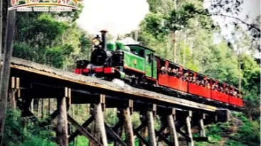 [한인가이드] 멜버른 단데농 퍼핑빌리 투어