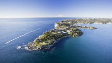 시드니 하버 관광 크루즈 1시간