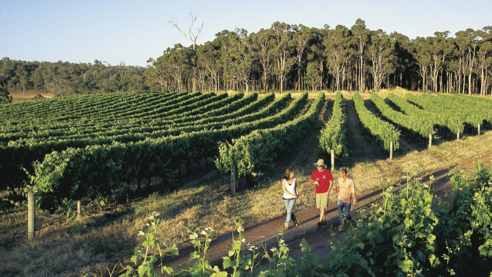 마가렛 리버 버셀턴 제티 케이프 르윈 등대 투어
