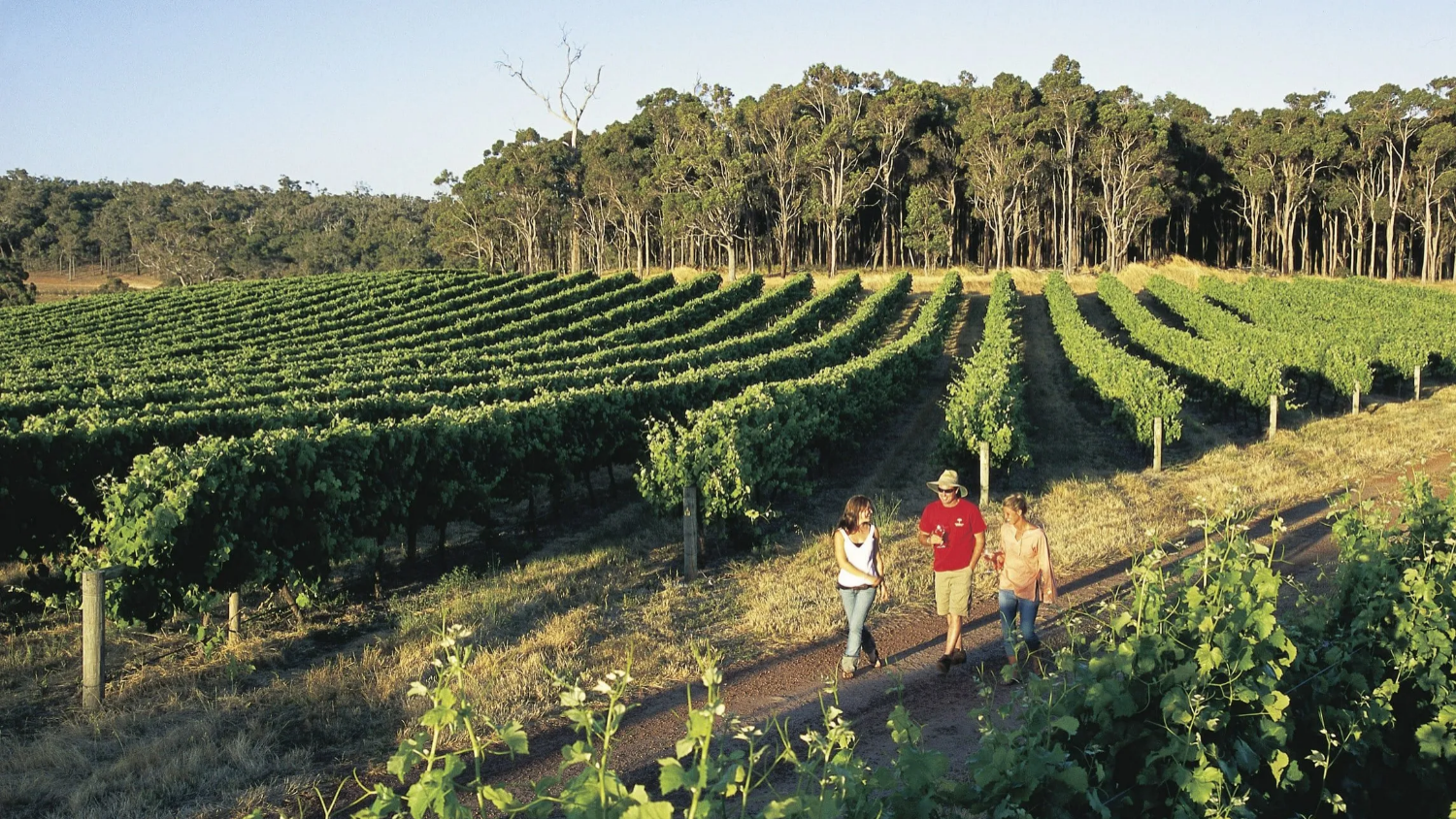 마가렛 리버 버셀턴 제티 케이프 르윈 등대 투어