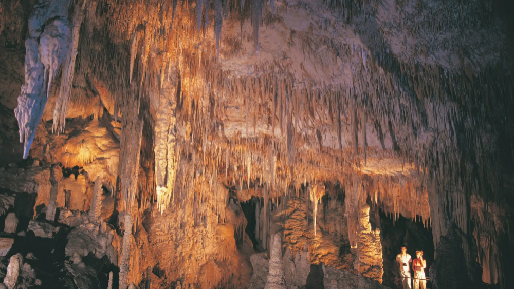 마가렛 리버 버셀턴 제티 케이프 르윈 등대 투어