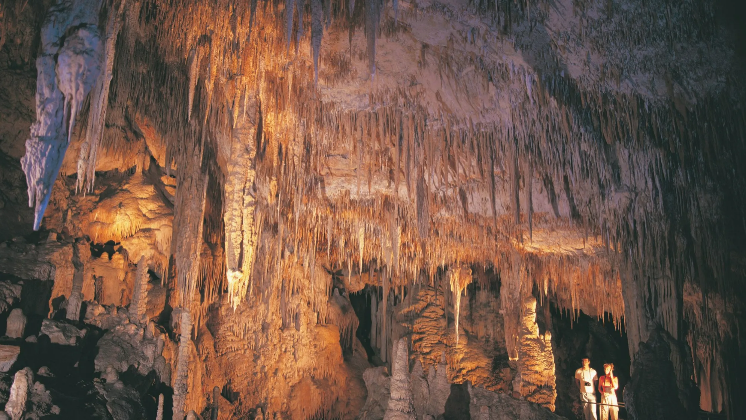 마가렛 리버 버셀턴 제티 케이프 르윈 등대 투어