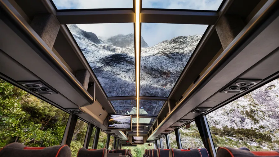 Southern Discoveries 밀포드 사운드 크루즈