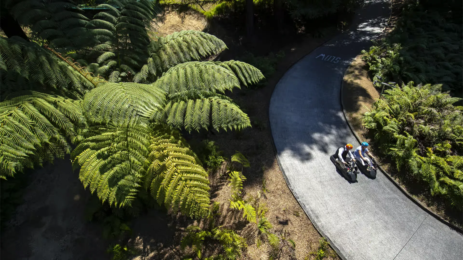 로토루아 스카이라인 곤돌라 루지