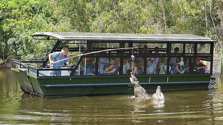 케언즈 하틀리 악어농장 할인티켓