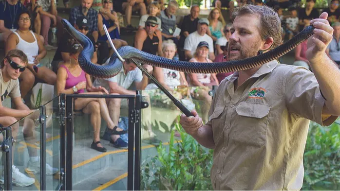 케언즈 하틀리 악어농장 할인티켓