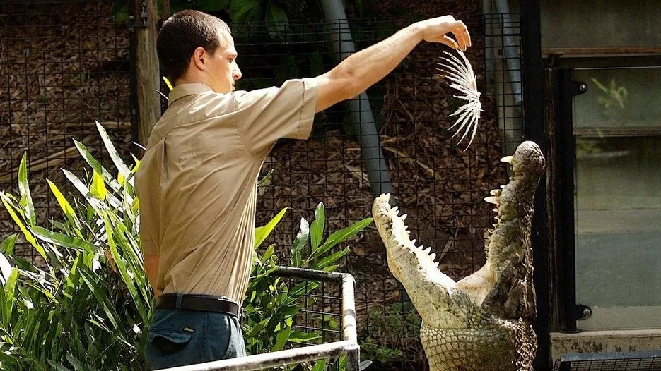 케언즈 하틀리 악어농장 할인티켓