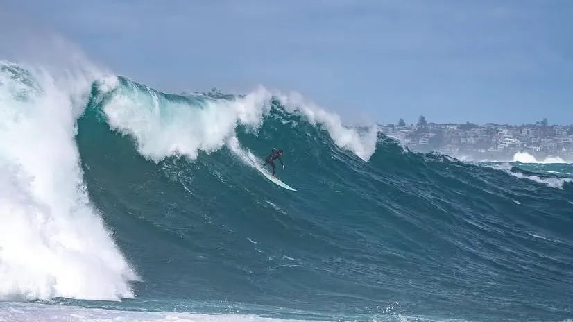 본다이 비치 서핑 레슨