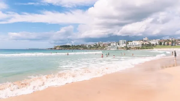 본다이 비치 서핑 레슨