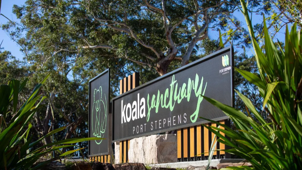 시드니 포트스테판 코알라 생츄어리 입장권