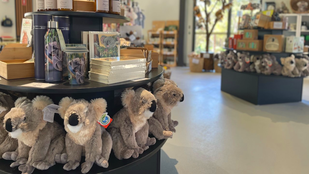 시드니 포트스테판 코알라 생츄어리 입장권