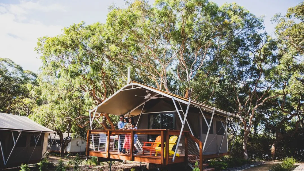 시드니 포트스테판 코알라 생츄어리 글램핑