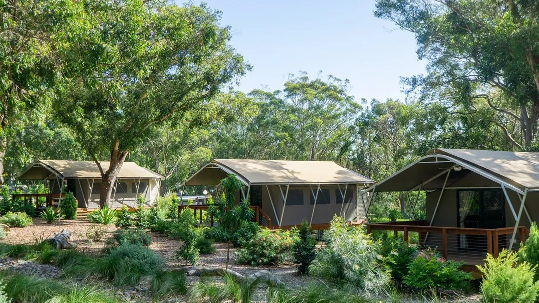 시드니 포트스테판 코알라 생츄어리 글램핑