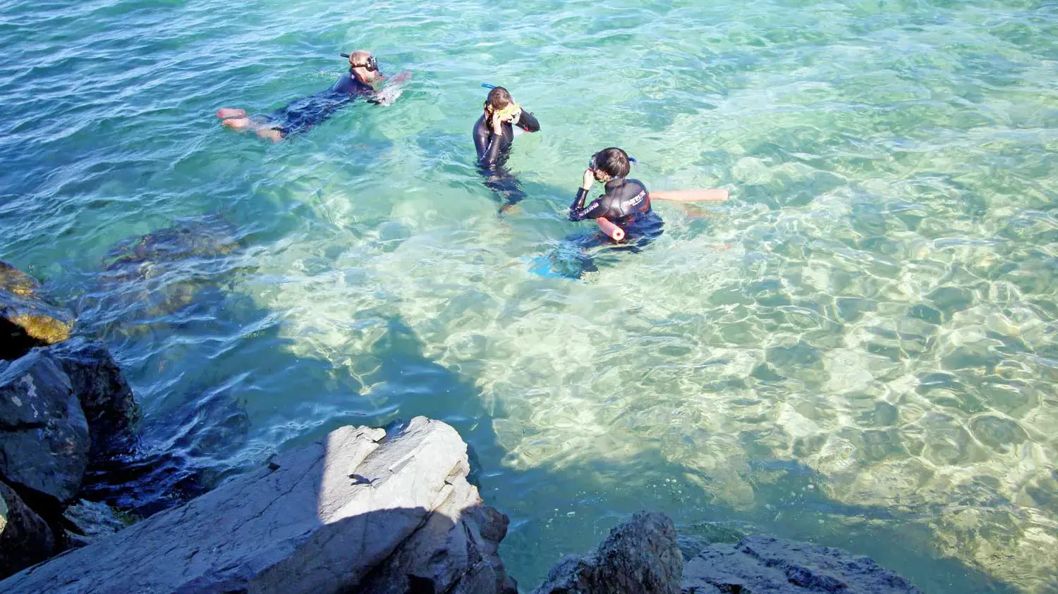 골드코스트 스노클링 스쿠버다이빙 반일 투어