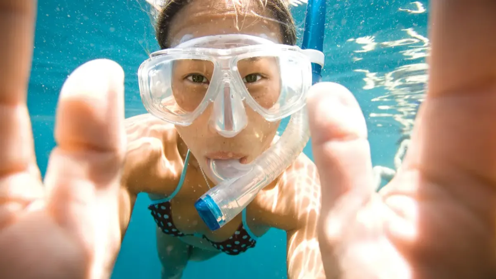 골드코스트 스노클링 스쿠버다이빙 반일 투어