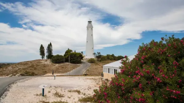 퍼스 로트네스트 아일랜드 페리 Sealink