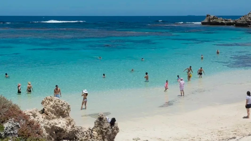 퍼스 로트네스트 아일랜드 페리 Sealink