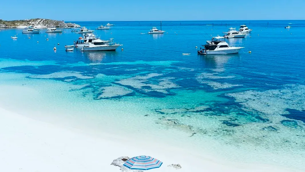 퍼스 로트네스트 아일랜드 페리 Sealink