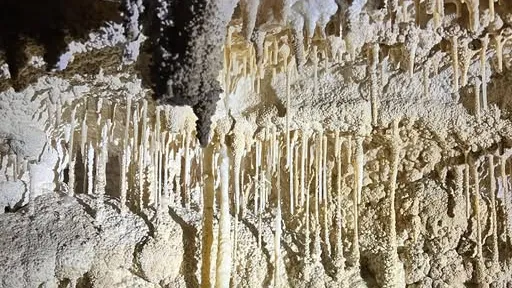 와이토모 반딧불동굴 가이드 투어 45분