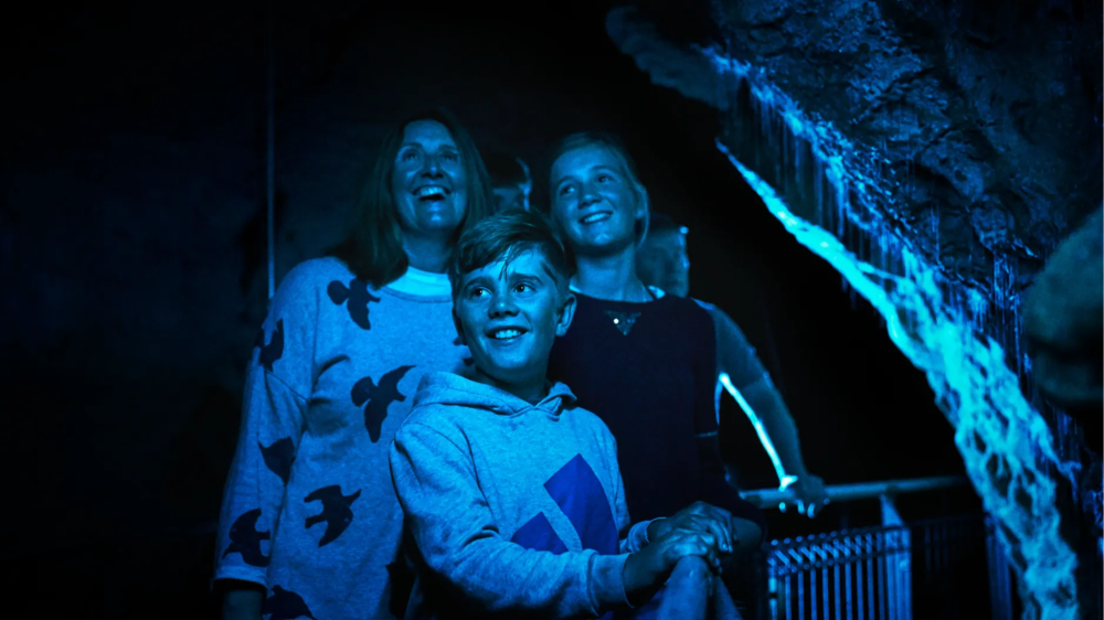 와이토모 반딧불동굴 가이드 투어 45분