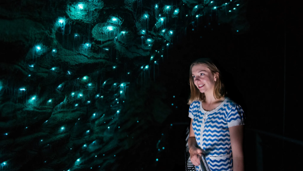 와이토모 반딧불동굴 가이드 투어 45분