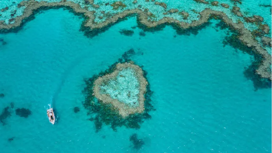 [해밀턴아일랜드] 3박 4일 호텔 + 그레이트 배리어 리프 크루즈