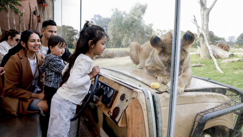 웨리비 오픈 레인지 동물원 입장권
