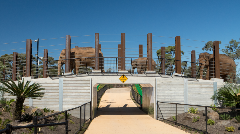 웨리비 오픈 레인지 동물원 입장권