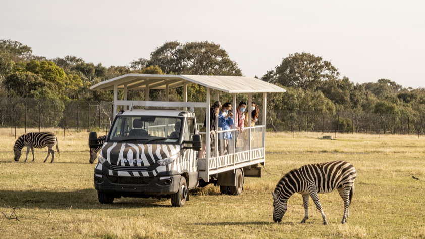 웨리비 오픈 레인지 동물원 입장권
