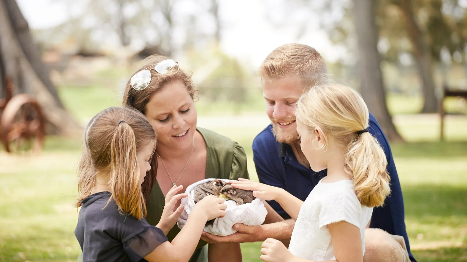 오크베일 동물원 입장권