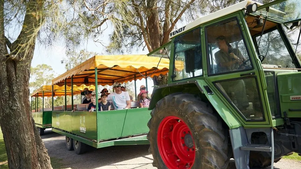 오크베일 동물원 입장권
