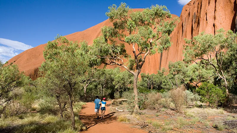 2박3일 울룰루 카타추타 트래킹 투어