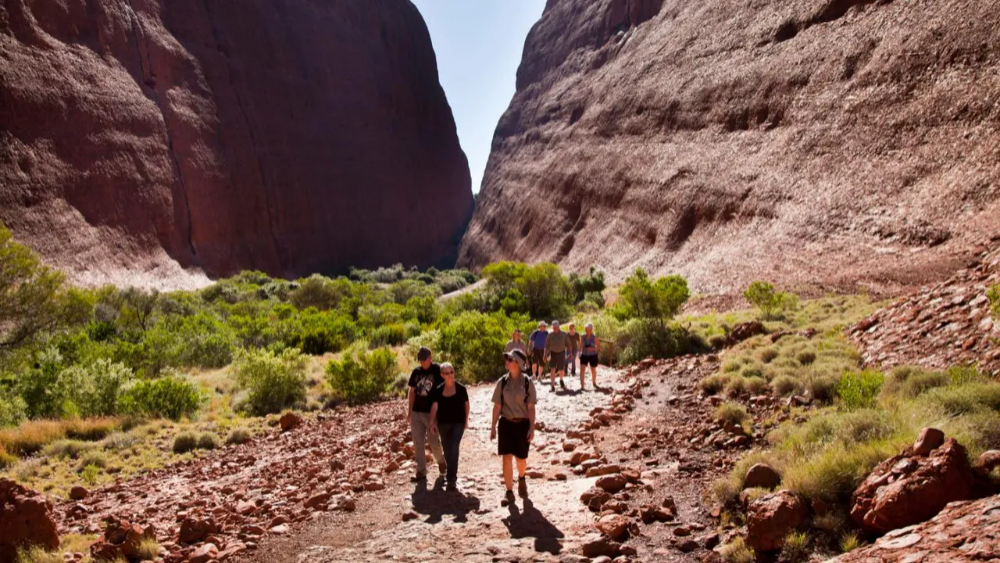 2박3일 울룰루 카타추타 트래킹 투어
