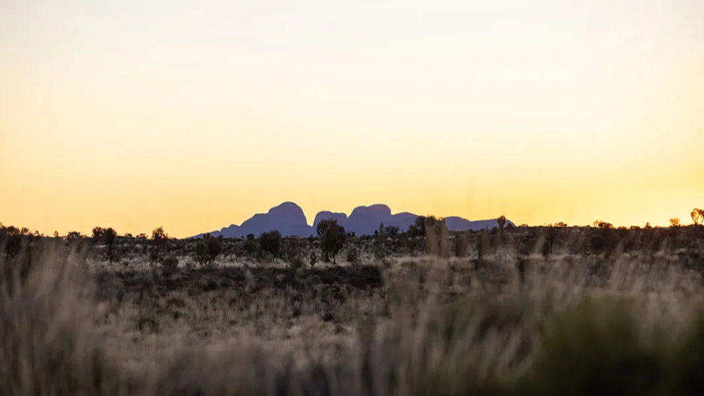 2박3일 울룰루 카타추타 트래킹 투어
