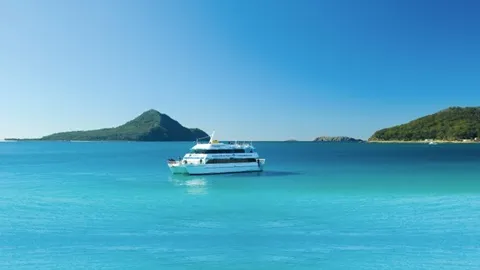 시드니 포트스테판 돌고래크루즈+모래썰매 콤보